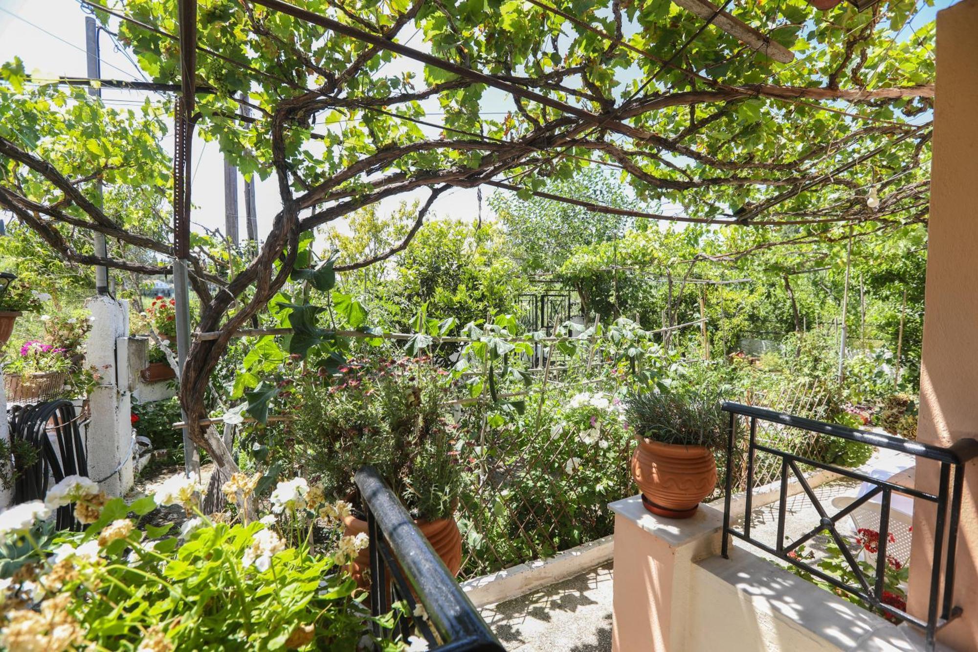 Natasha'S Home Perama  Exterior photo